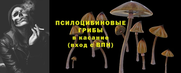 apvp Армянск